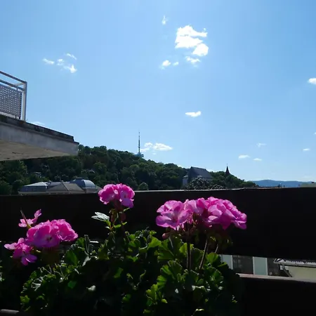 Rooftop